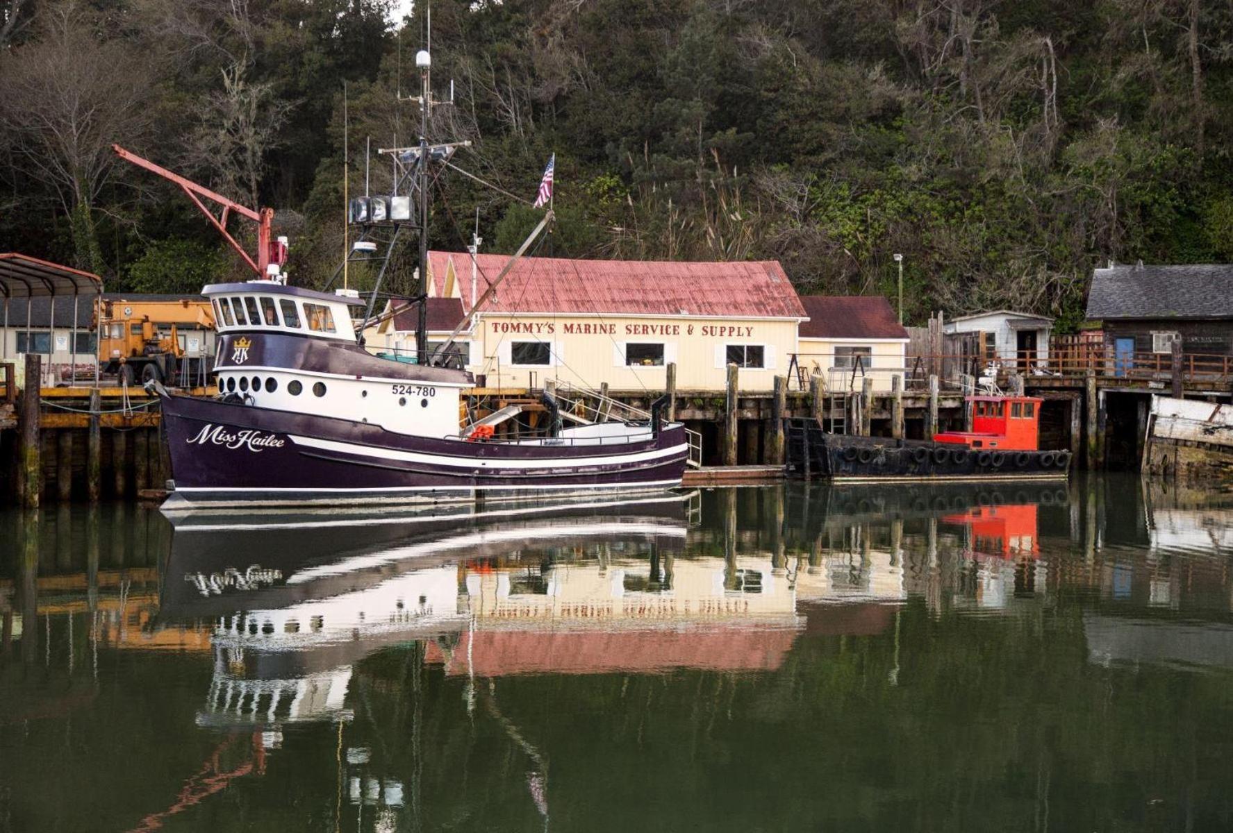 Driftwood Vila Fort Bragg Exterior foto