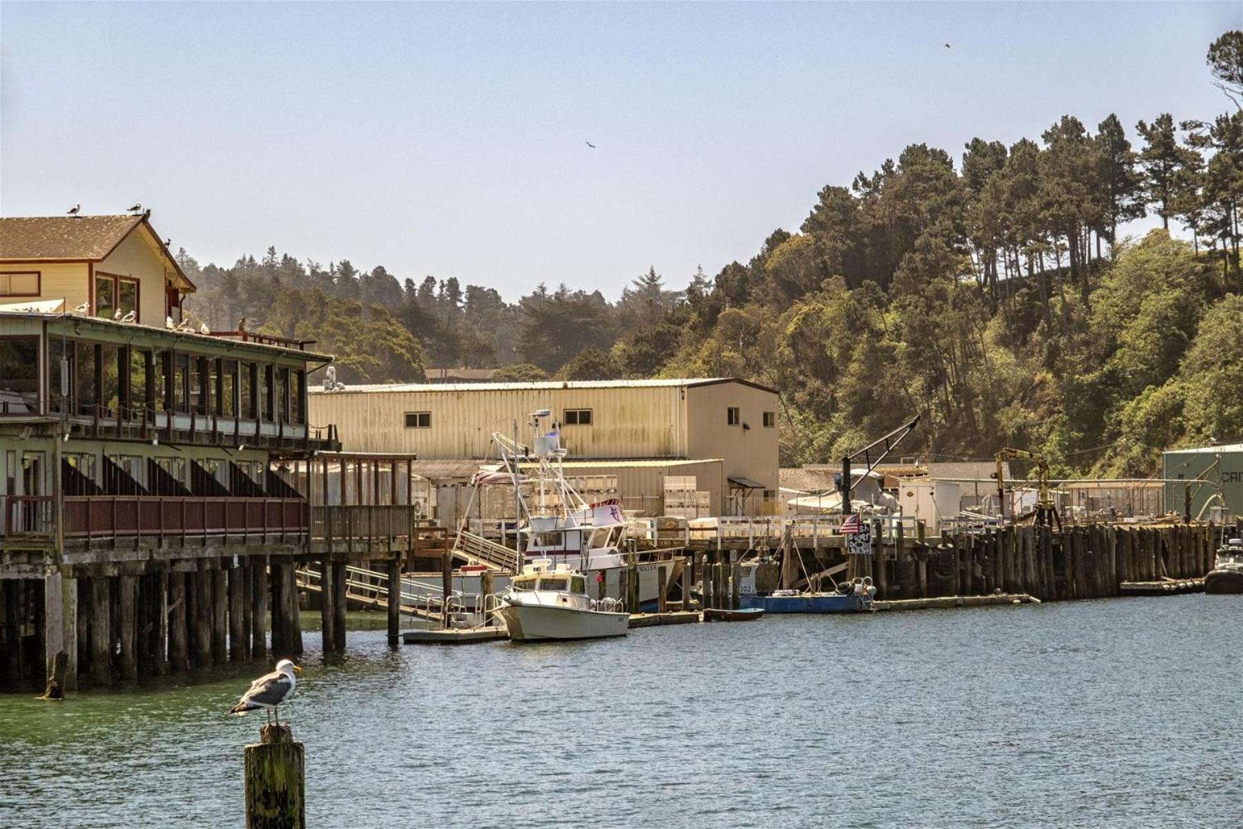 Driftwood Vila Fort Bragg Exterior foto